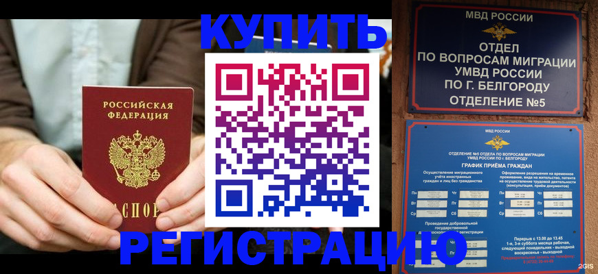 прописка 2025 в Новом Осколе